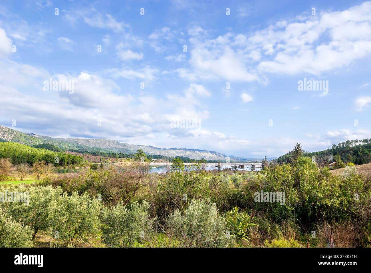 Turkish countryside, olive trees in the foreground, the Taurus mountains in the background Stock Photo