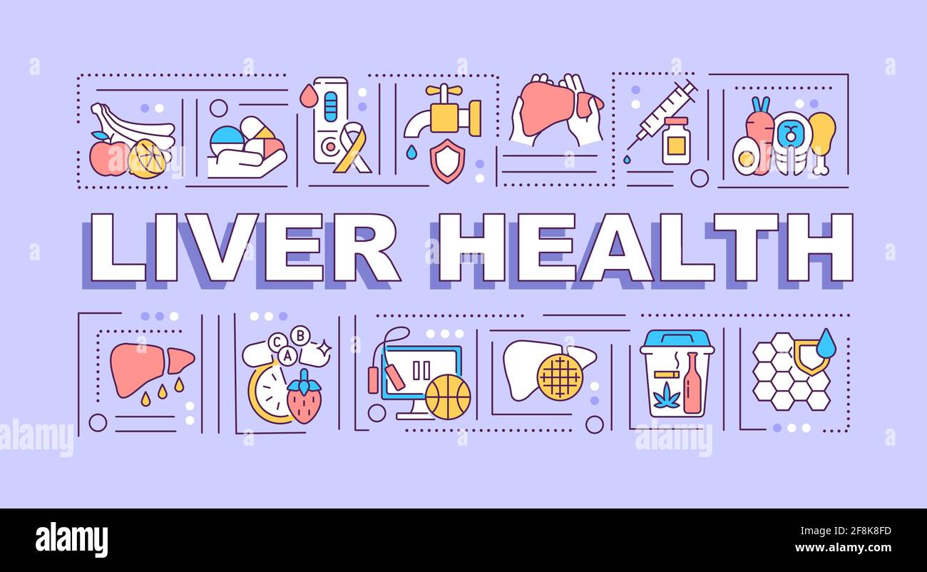 Liver health word concepts banner Stock Vector Image & Art - Alamy