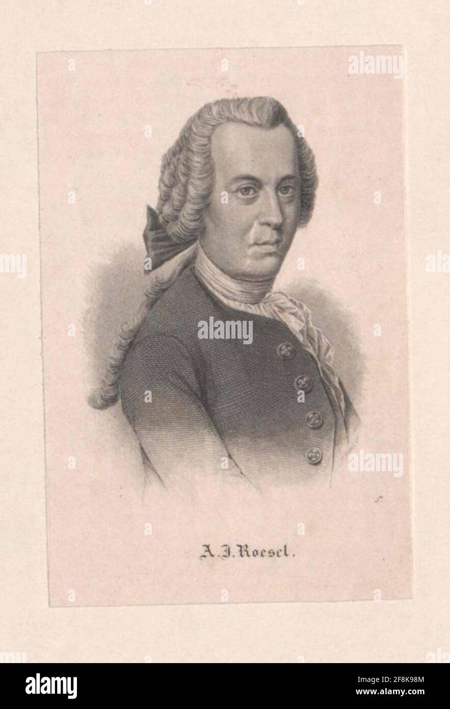 Rösel by Rosenhof, August Johann. Stock Photo