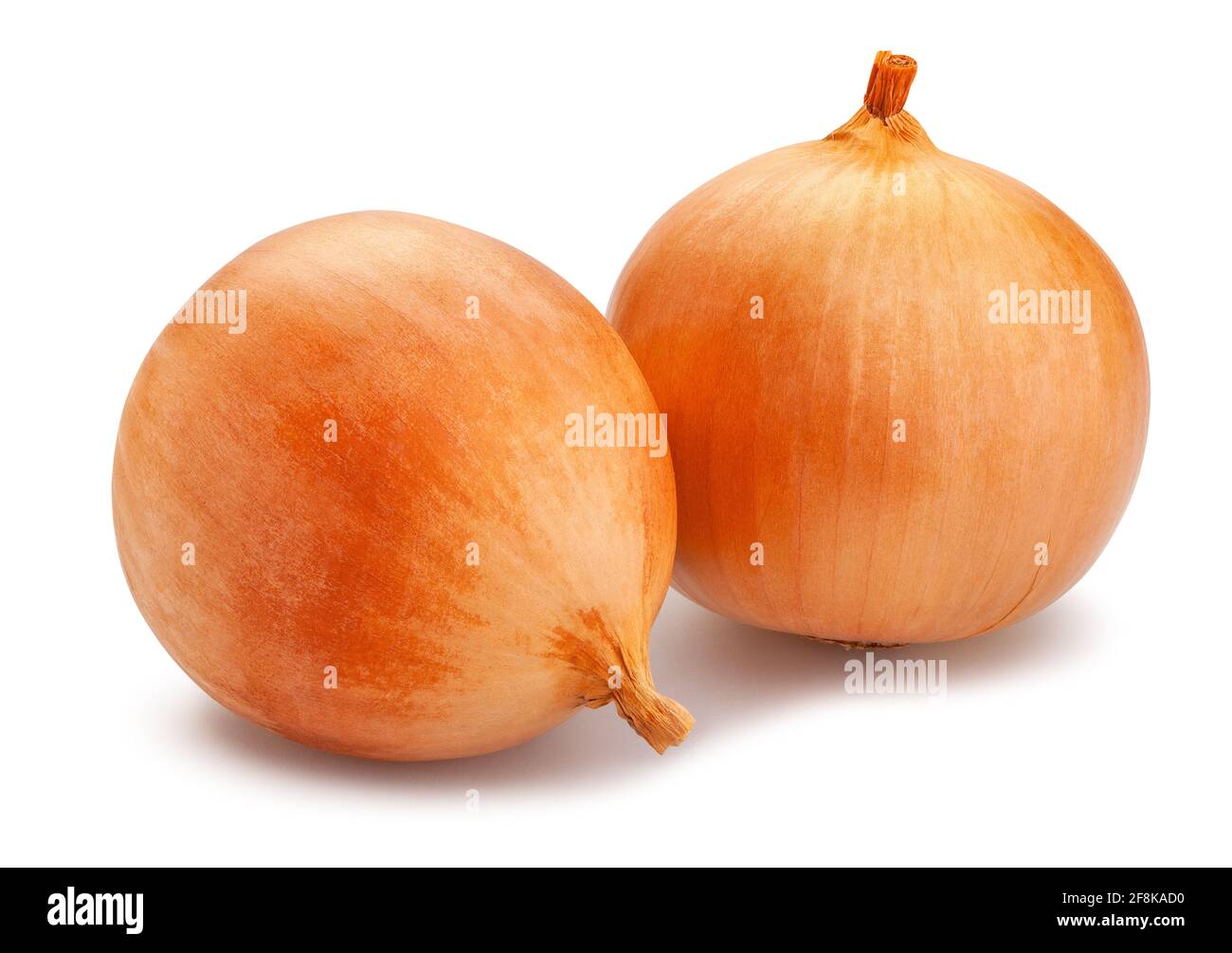 onion path isolated on white Stock Photo