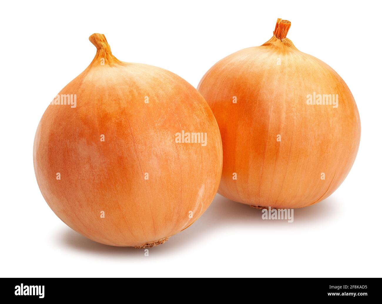 onion path isolated on white Stock Photo