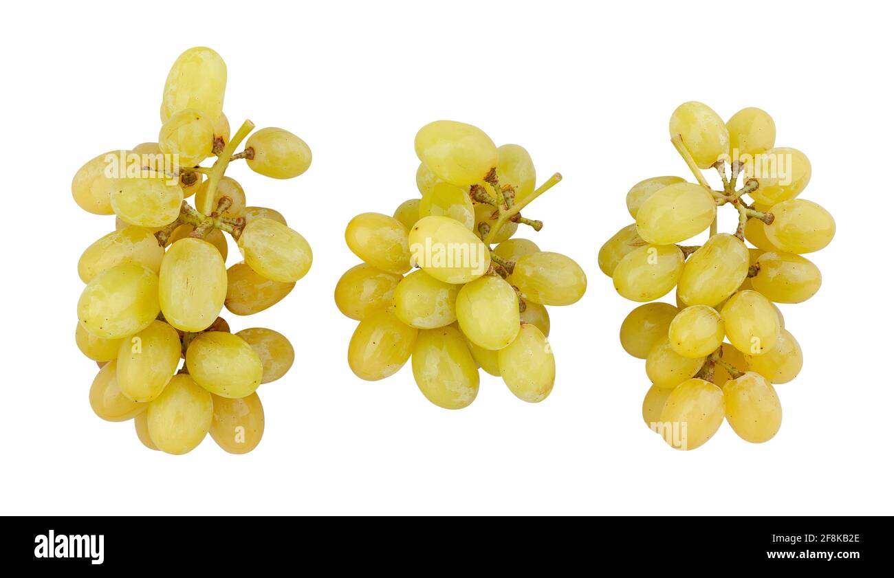 white grape path isolated on white Stock Photo