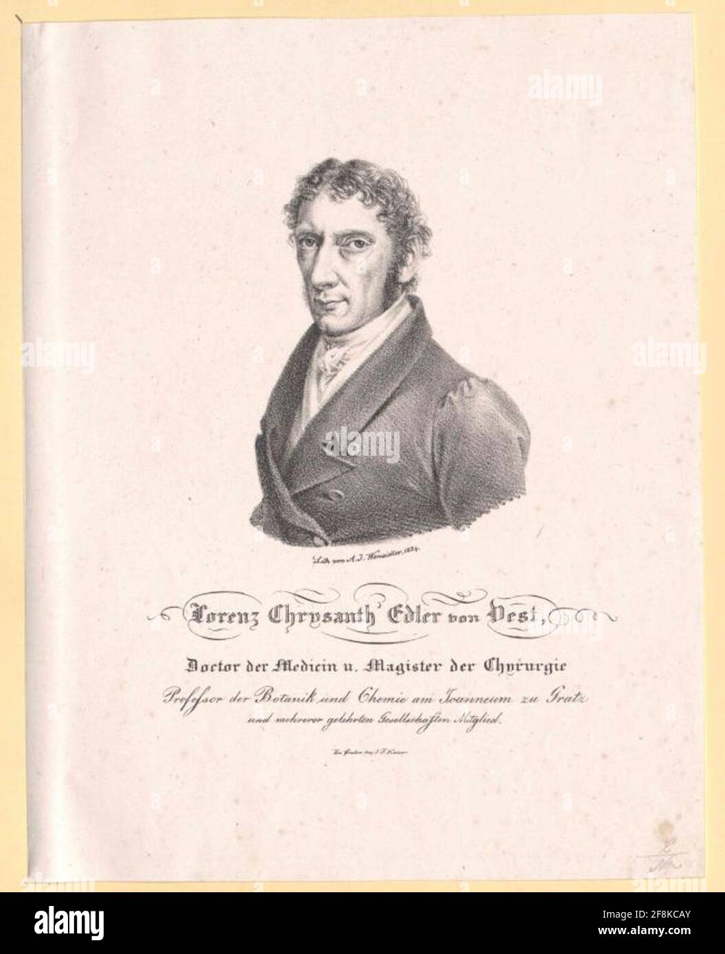 Vest, Lorenz Chrysanth of Stock Photo Alamy