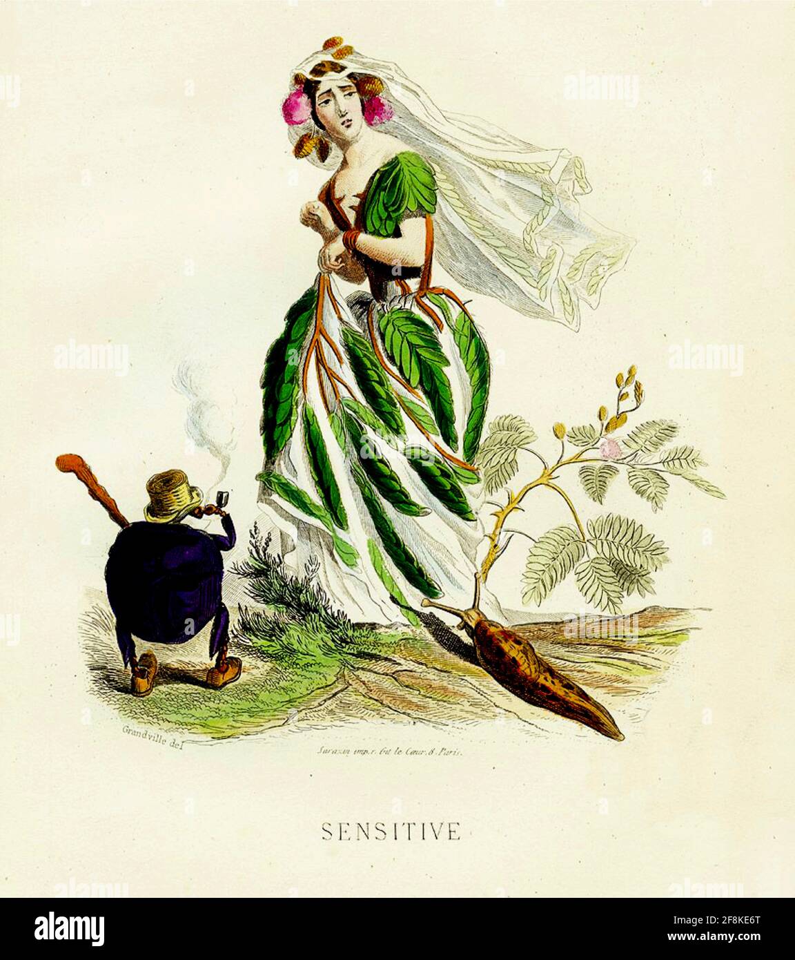 J J Grandville artwork entitled Sensitive. Pipe smoking bug regards Mimosa Sesitive. Stock Photo