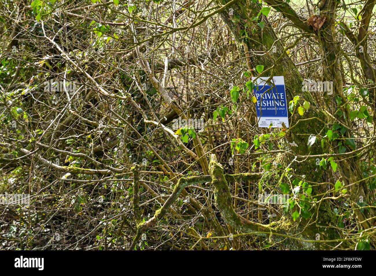 Cardiff, Wales - March 2021: Private fishing sign attached to a tree above a small river in the countryside Stock Photo