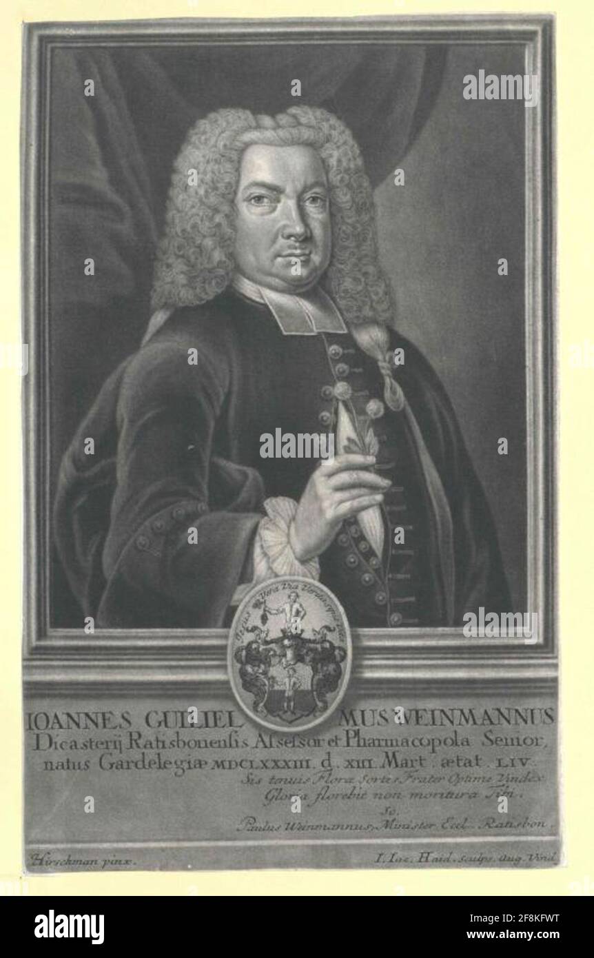 Weinmann, Johann Wilhelm Stock Photo Alamy