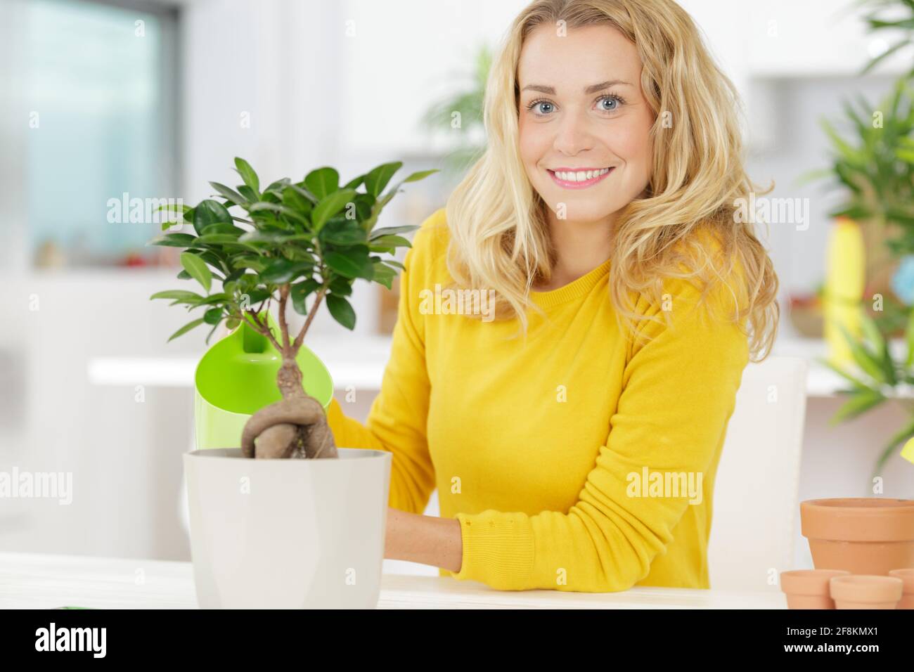woman taking care of a bonsai tree Stock Photo - Alamy
