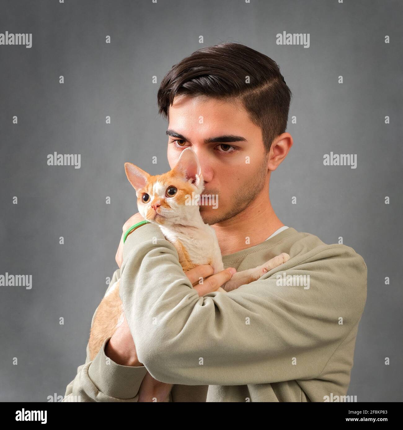 Man hugs and kissing cute Devon rex cat Stock Photo