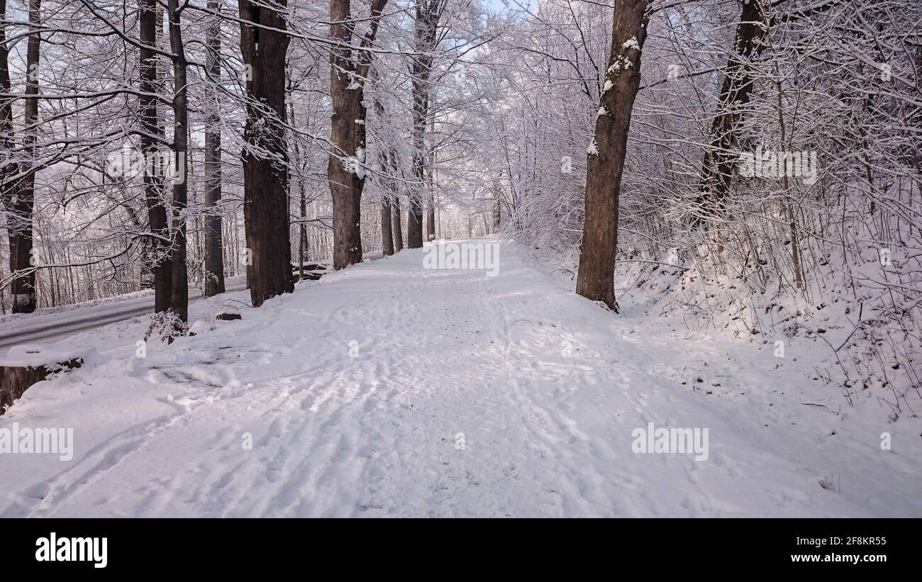 Winter road in mountains Stock Photo