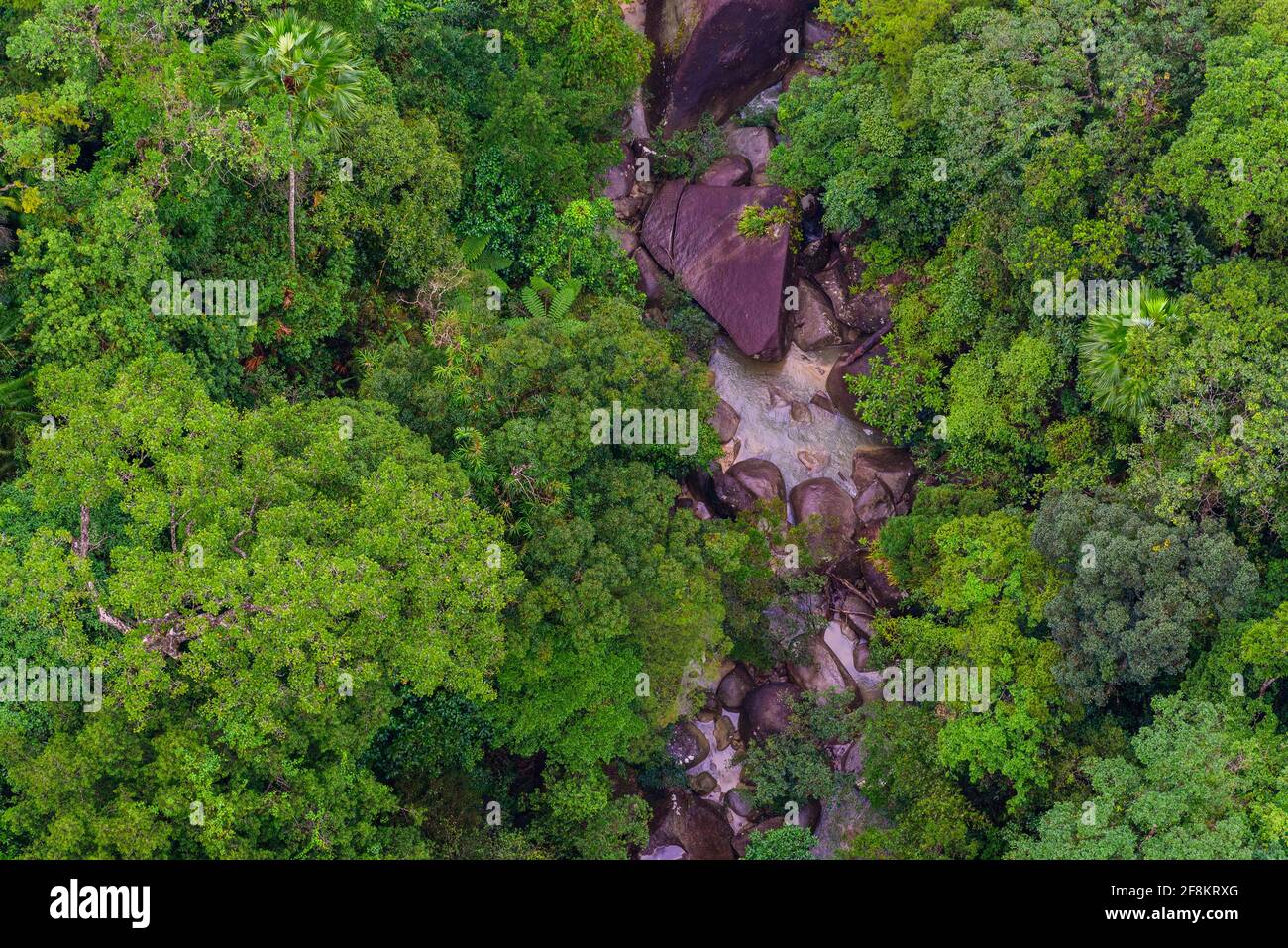 Aerial top view of tropical forest beautiful tranquil scenery in