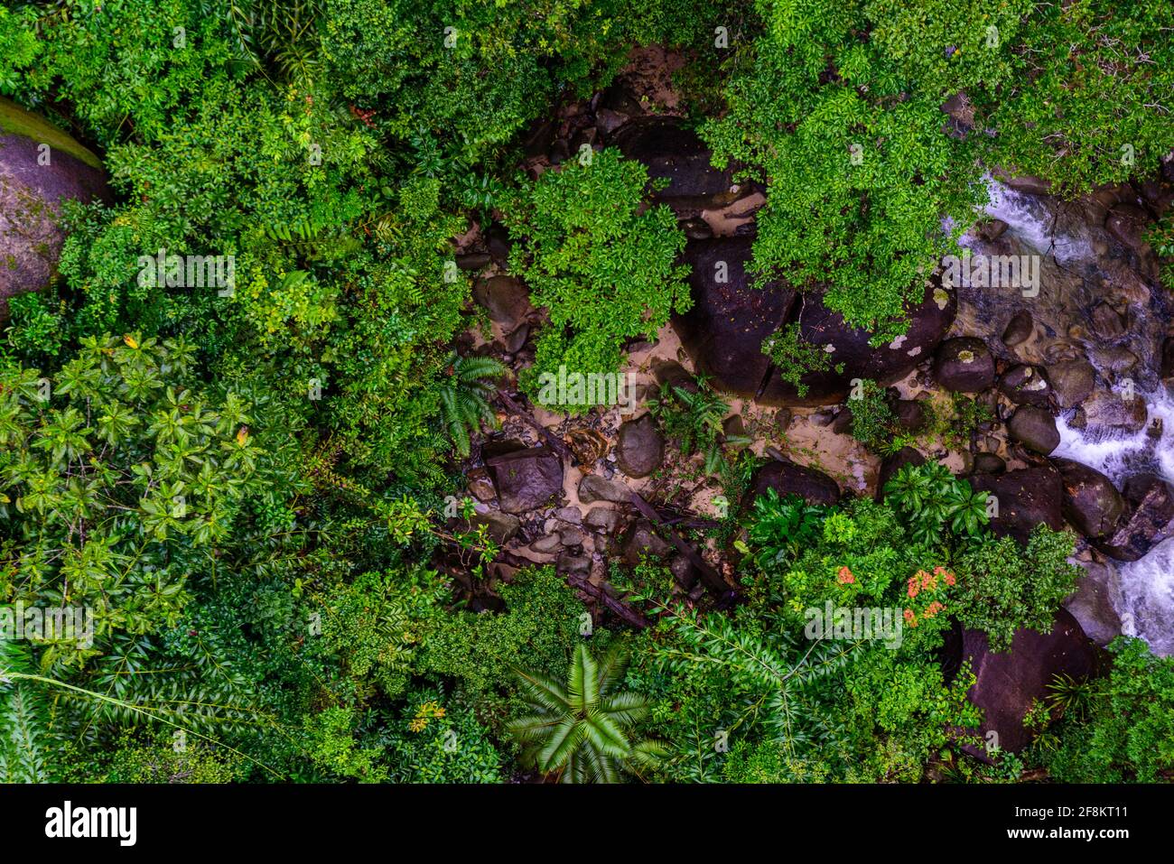 Aerial top view of tropical forest beautiful tranquil scenery in