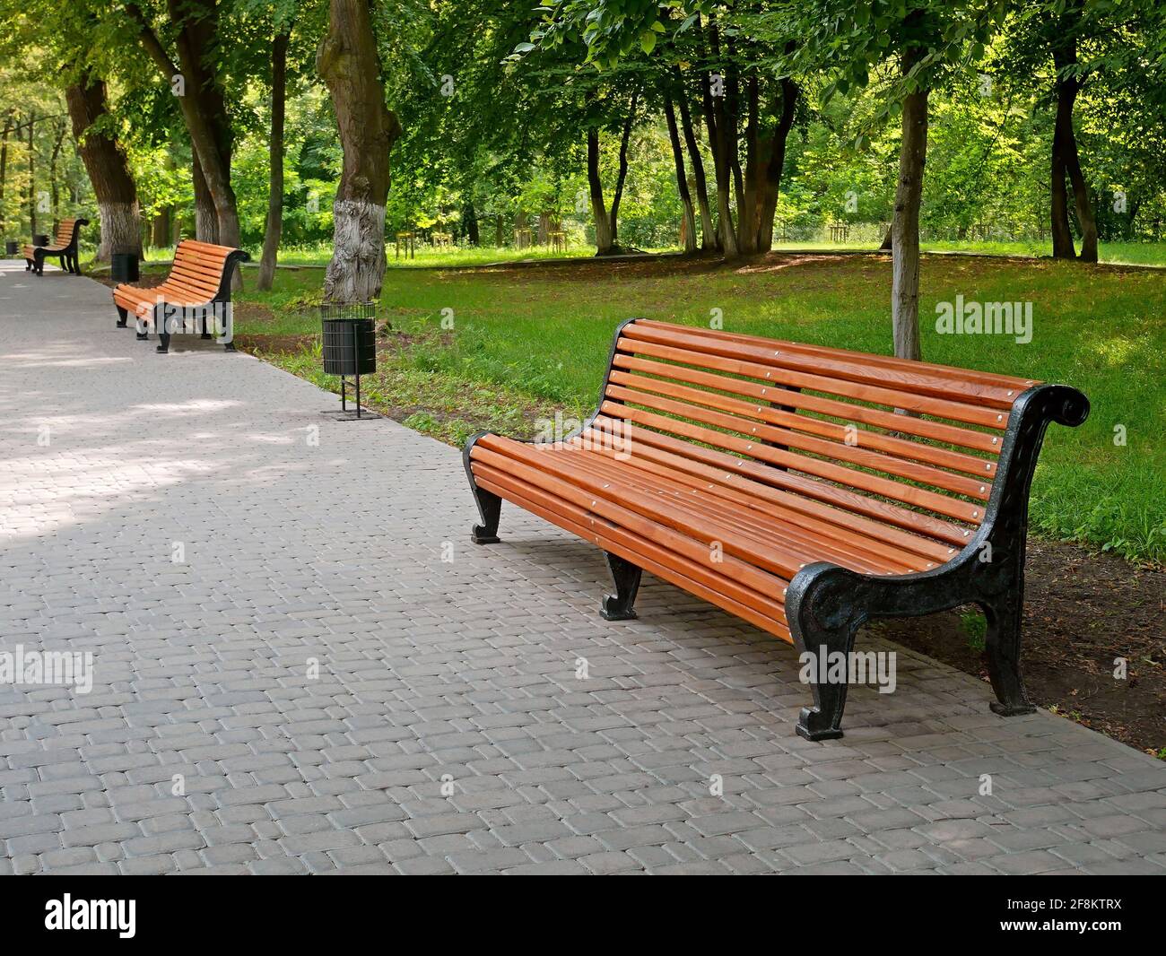 Empty alley with new benches and paved gray tiles in the city park in fine summer sunny day in Kyiv, Ukraine Stock Photo