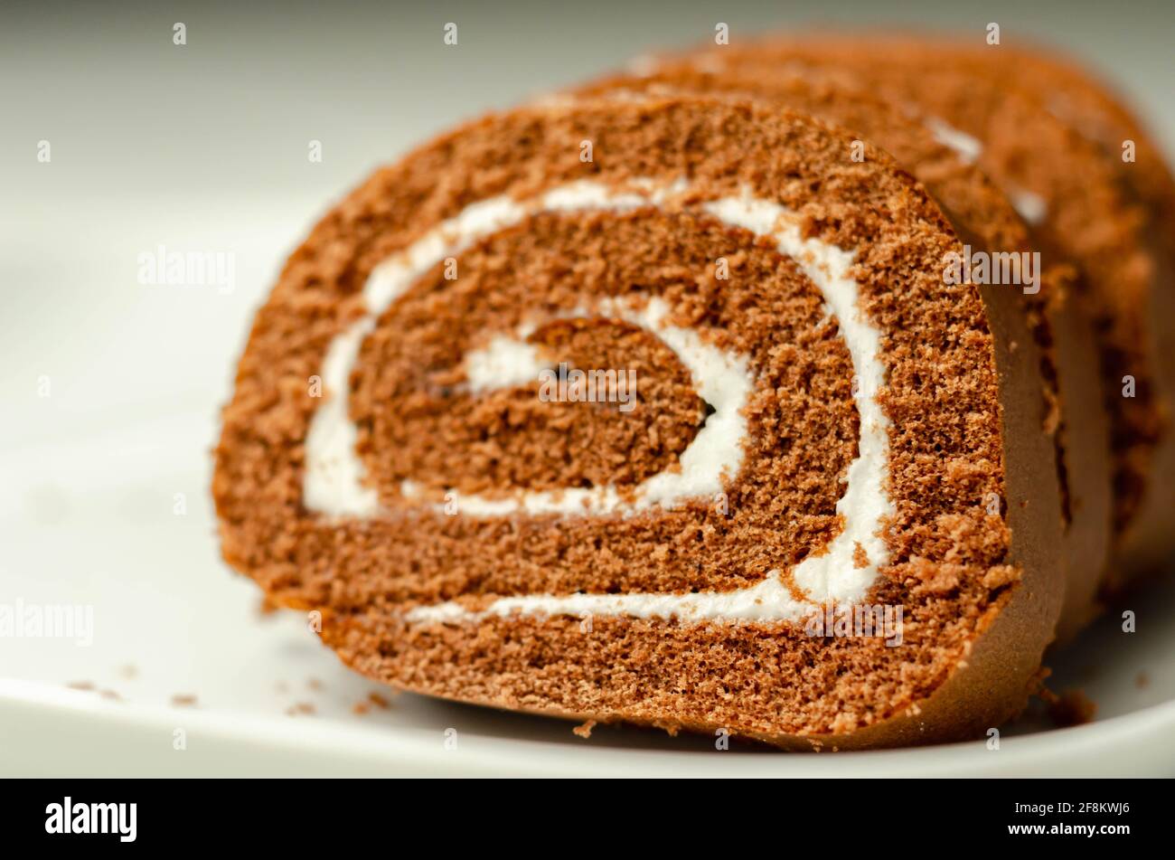 Chocolate sponge roll with a vanilla flavour filling, chocolate swiss