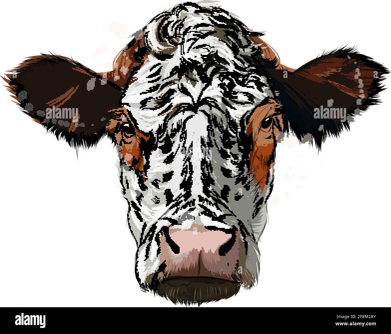cattle head drawing