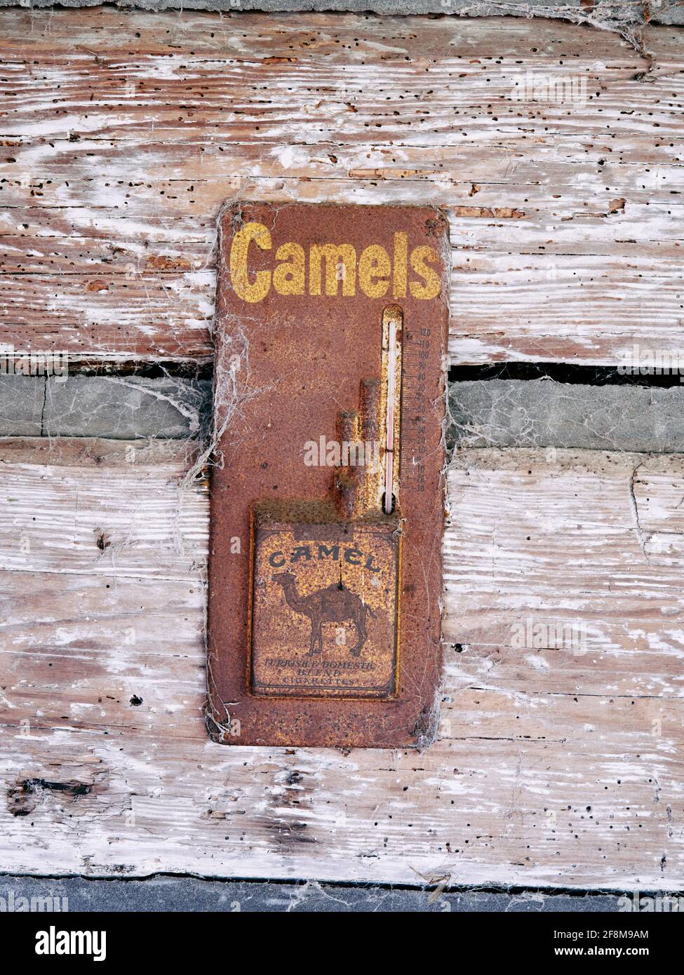 Old vintage rustic antique Camels cigarette advertising on a cabin wall. Stock Photo