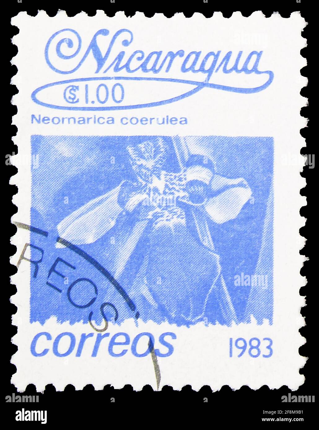 MOSCOW, RUSSIA - SEPTEMBER 30, 2019: Postage stamp printed in Nicaragua shows Neomarica coerulea, Local Flowers serie, circa 1983 Stock Photo