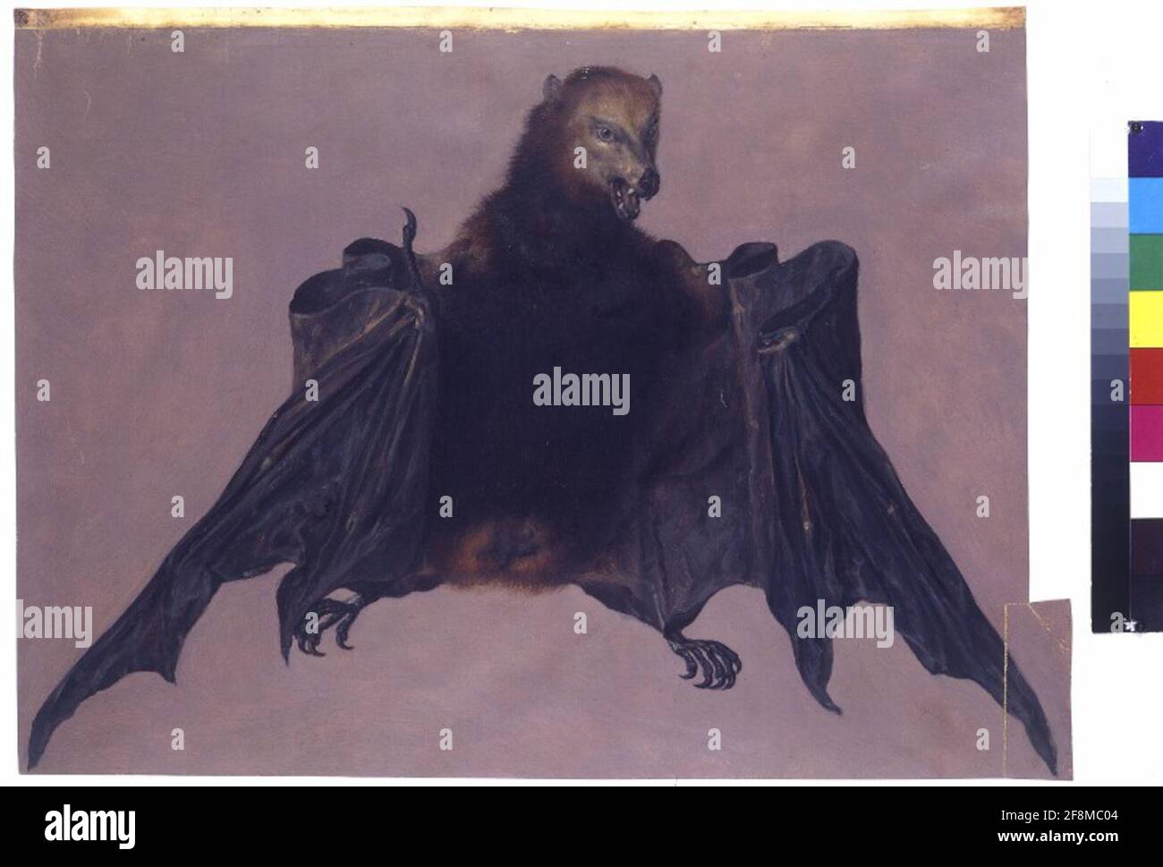 8 Rudolf Flying Fol 82r bestiarium rudolfs ii hi-res stock photography and images - Alamy