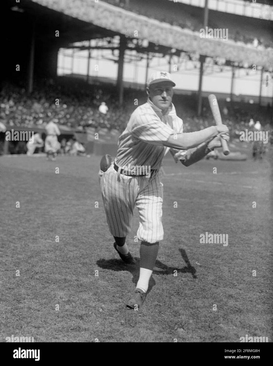 1925 Grover Hartley, New York Giants, Large Portrait Photo in