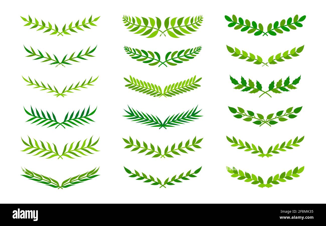 Green semicircular form vintage wreath icon set. Hand drawn floral leaf ornament frame for your design depicting foliate borders. Laurel or olive branch. Great for emblem. Isolated vector illustration Stock Vector