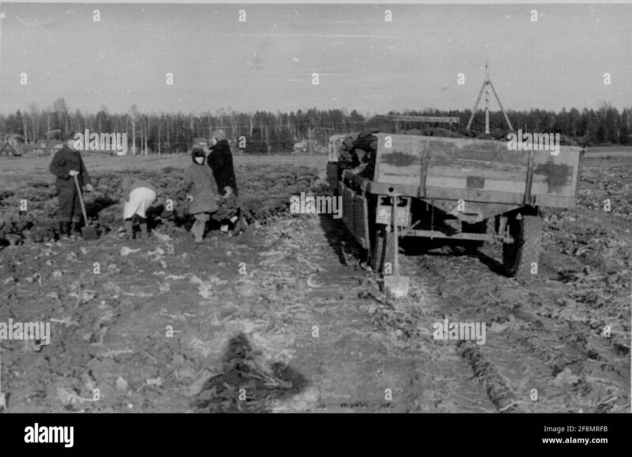 Eastern front challenges hi-res stock photography and images - Alamy