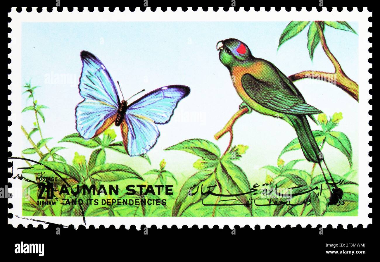 MOSCOW, RUSSIA - OCTOBER 4, 2019: Postage stamp printed in Ajman (United Arab Emirates) shows Yellowish-breasted Racquet-tail Prioniturus flavicans, B Stock Photo