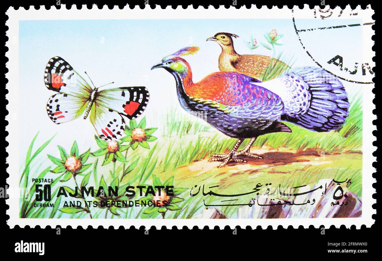 MOSCOW, RUSSIA - OCTOBER 4, 2019: Postage stamp printed in Ajman (United Arab Emirates) shows Chinese Monal (Lophophorus lhuysii), Butterflies and Bir Stock Photo