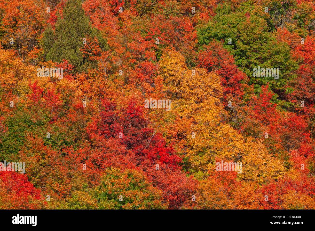 Sardine canyon hires stock photography and images Alamy