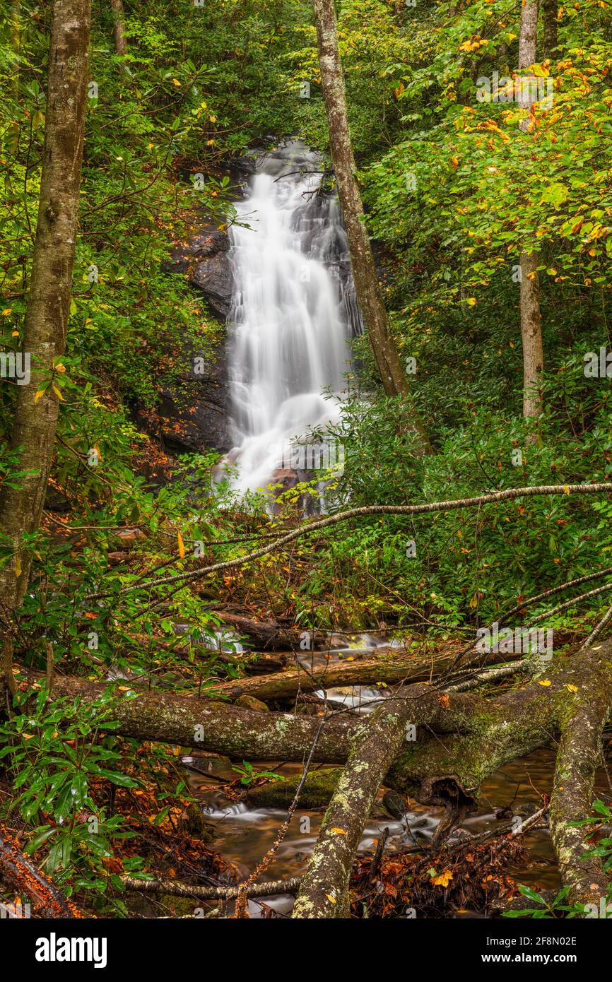 Log Hollow Falls in autumn, Pisgah National Forest, Brevard, North