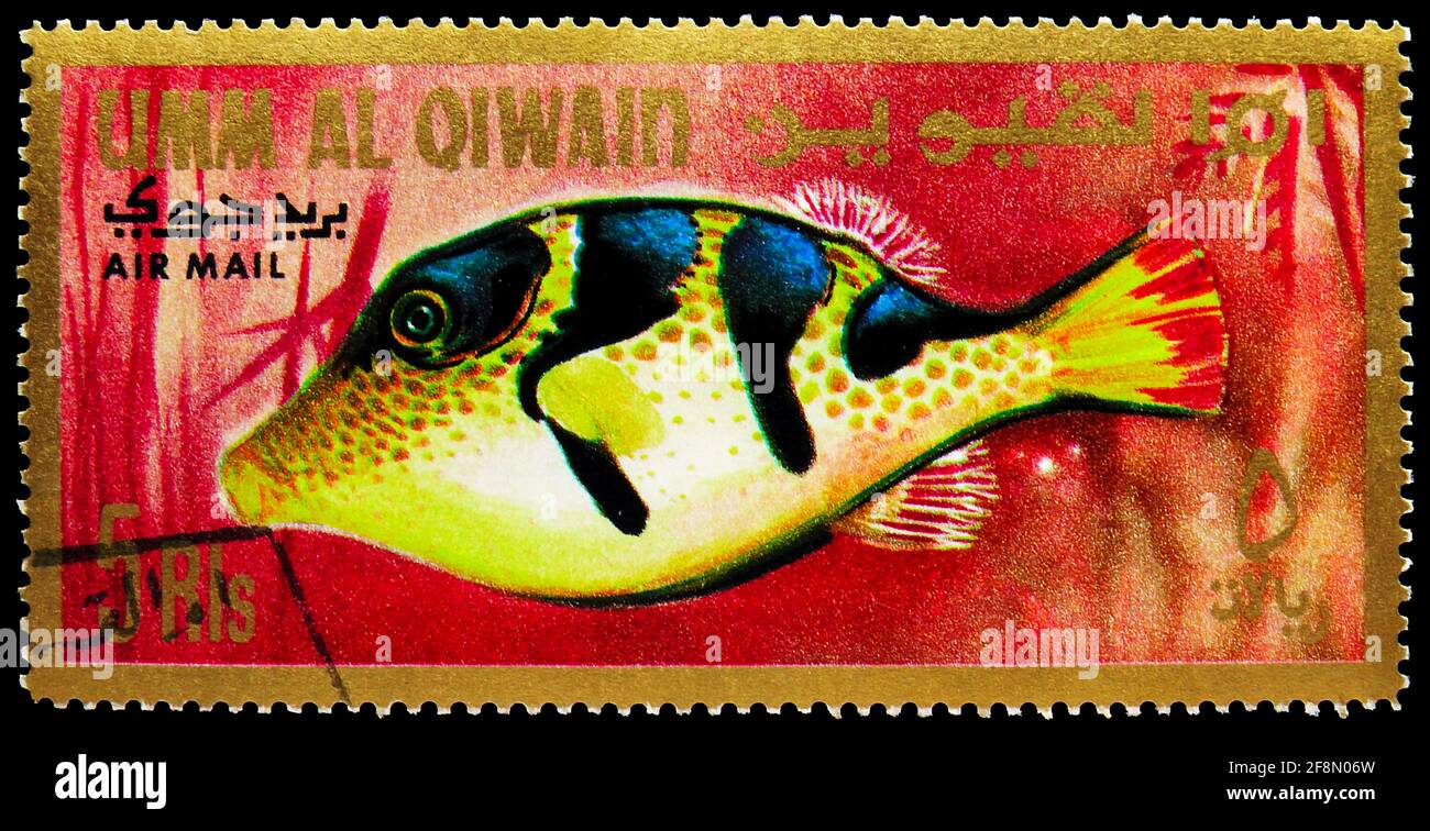 MOSCOW, RUSSIA - OCTOBER 4, 2019: Postage stamp printed in Umm Al Quwain shows Sharpnose Pufferfish (Canthigaster cinctus), Fishes of the Persian Gulf Stock Photo