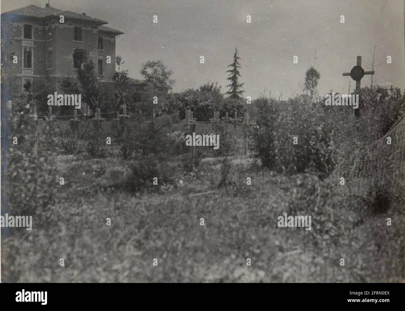 Conegliano, Heldenfriedhof. . Stock Photo