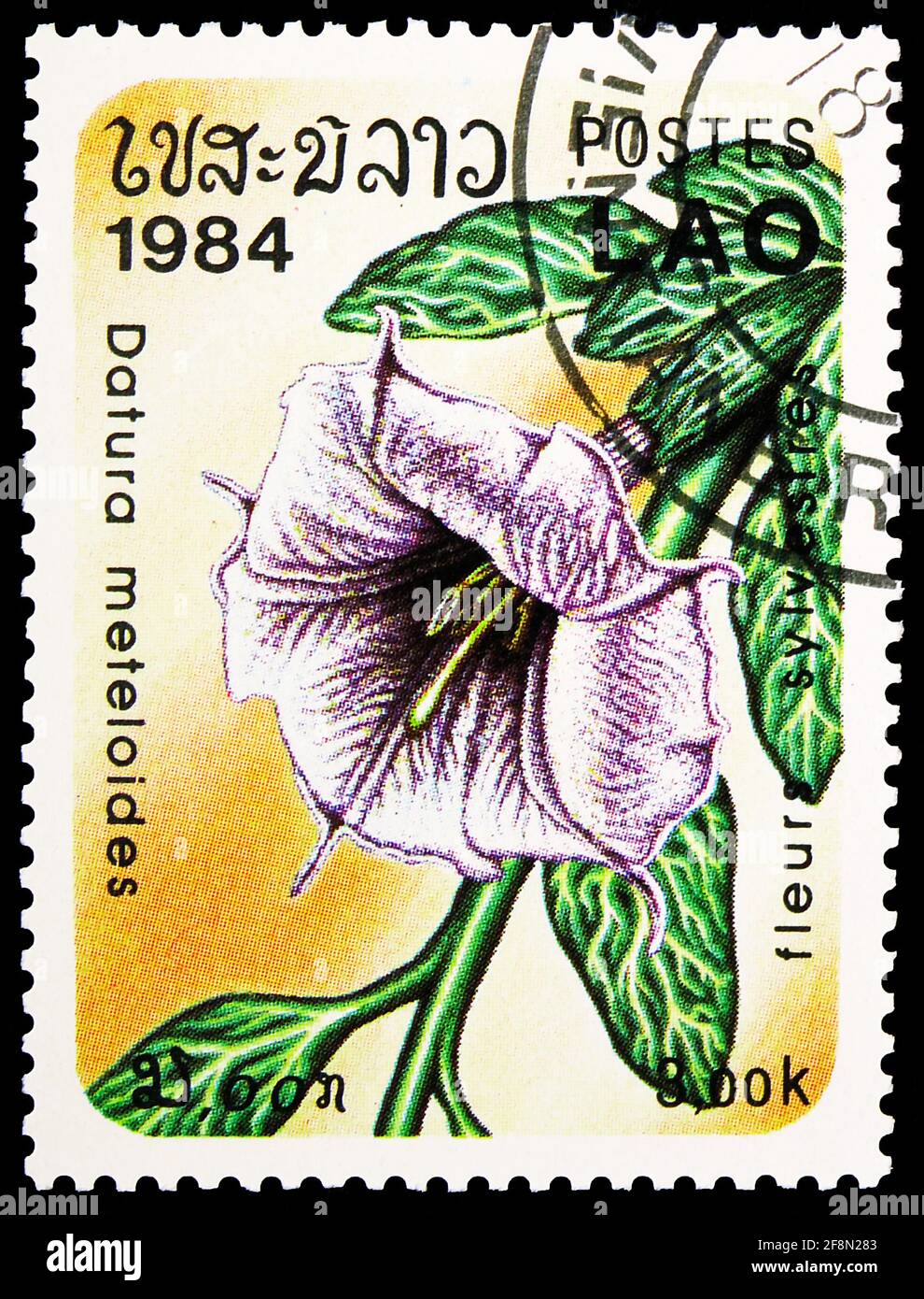 MOSCOW, RUSSIA - OCTOBER 4, 2019: Postage stamp printed in Laos shows Datura meteloides, Flowers serie, circa 1984 Stock Photo