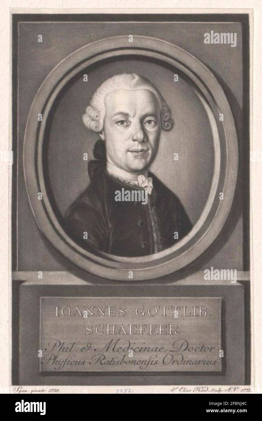 Schaeffer, Johann Gottlieb Stock Photo Alamy