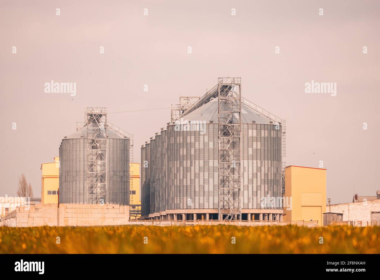 Grain elevator. Metal grain elevator in agricultural zone. Agriculture