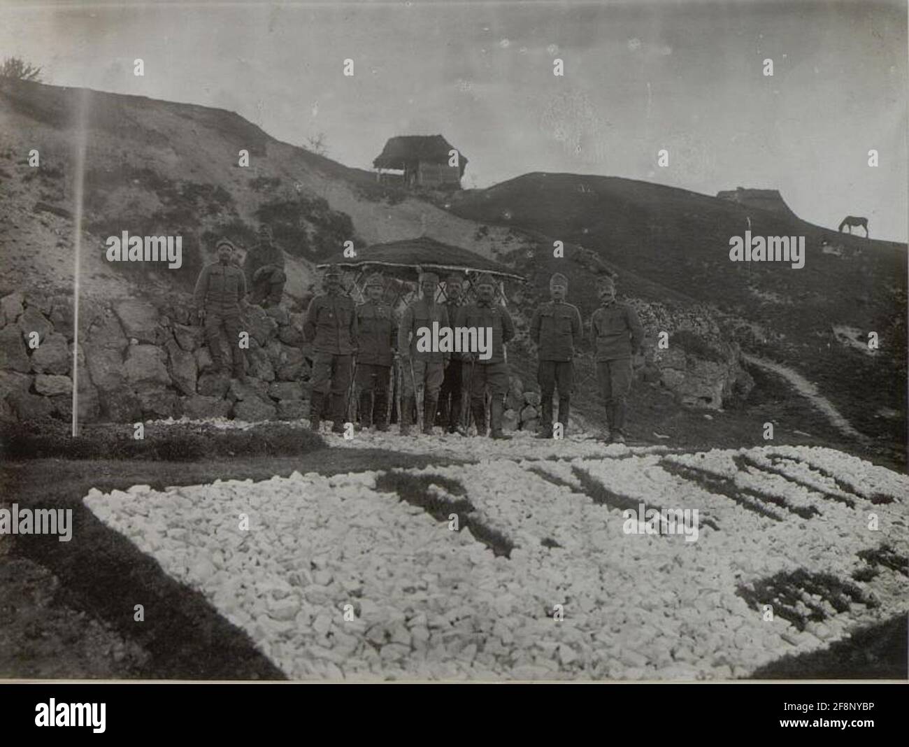 Proviant officer and corner of the field cannons Regiments NGO. 12 in