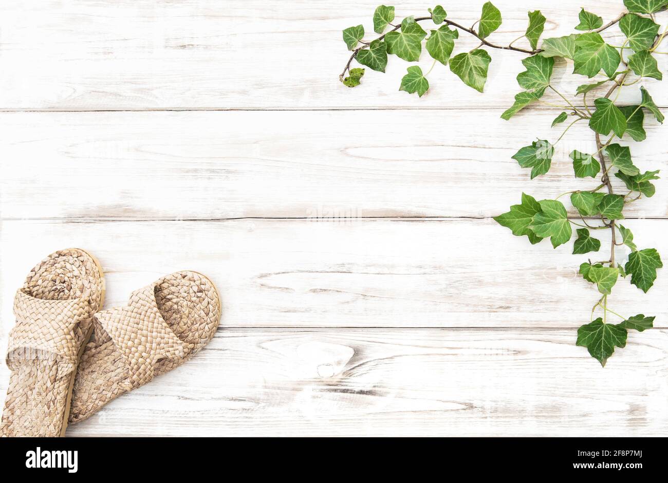 Floral template mockup with house shoes. Zero waste template Stock Photo