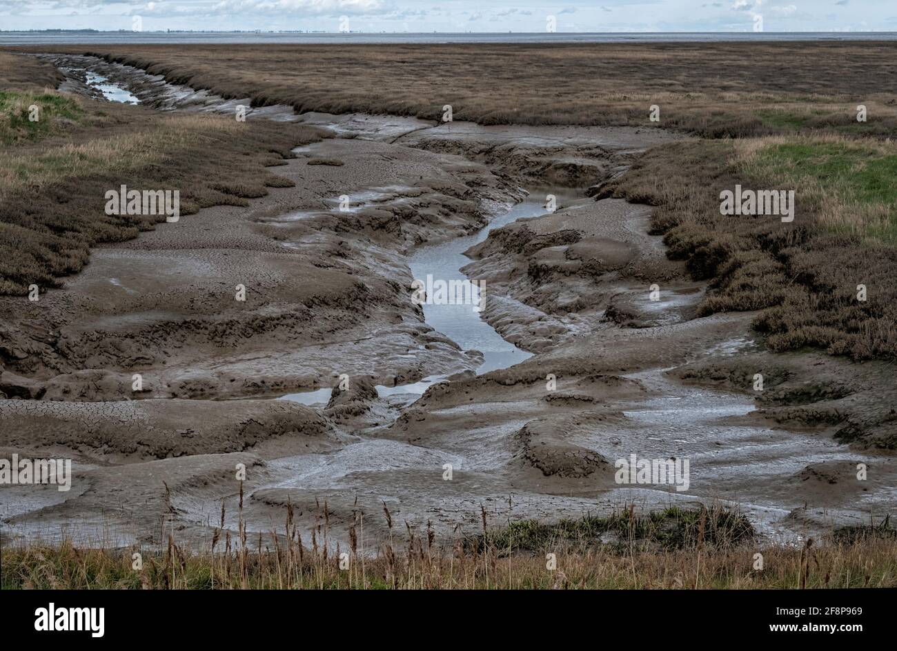 viewpoint looking over Lawyers Creek and the salt marshes at Holbeach Marsh, Lincolnshire. Stock Photo