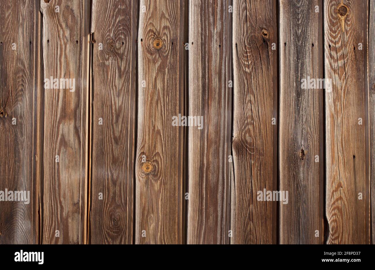 Tongue and groove pine wood wall. Dark knotted and weathered look Stock
