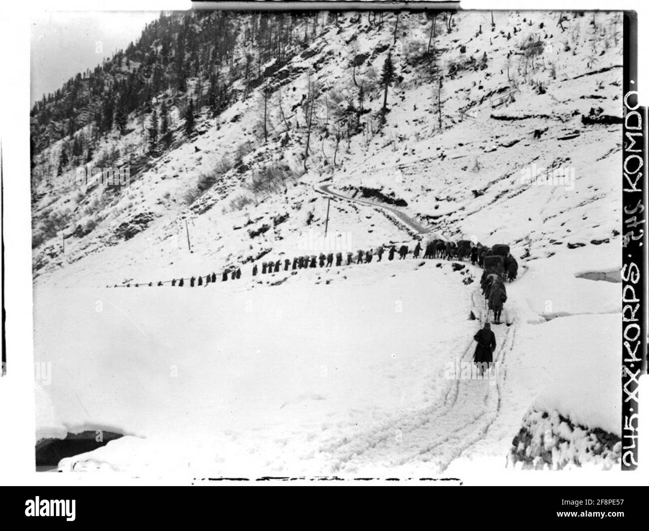 Filmoorhöhe Russian prisoners of war transporting provisions to Filmoorhöhe; Belluno, Carnic Alps, near Comelico; photographer: 20. Korpskommando. Stock Photo