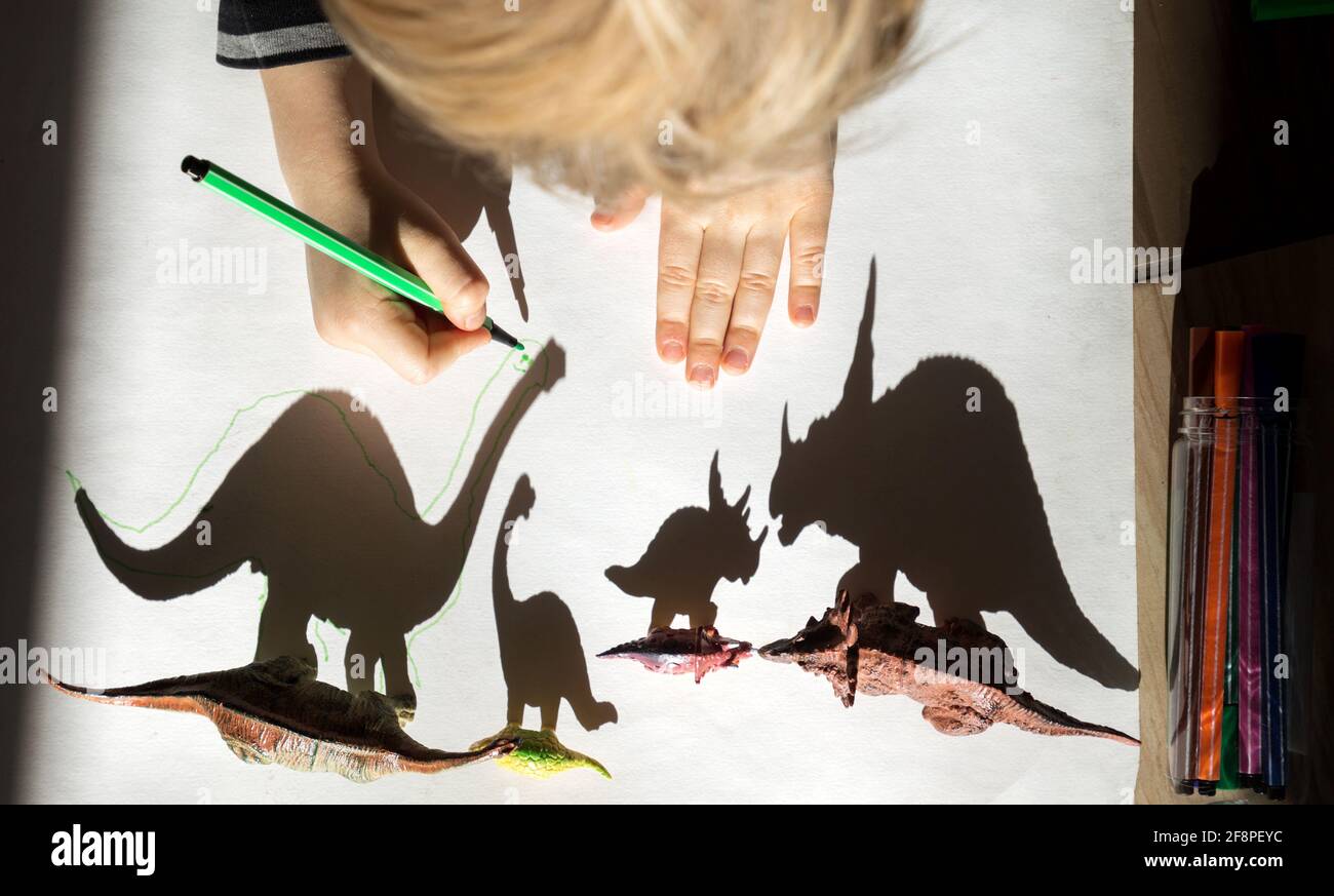 child, with enthusiasm and concentration, outlines shadows from toy figurine of small and large dinosaurs. development of fine motor skills. children' Stock Photo