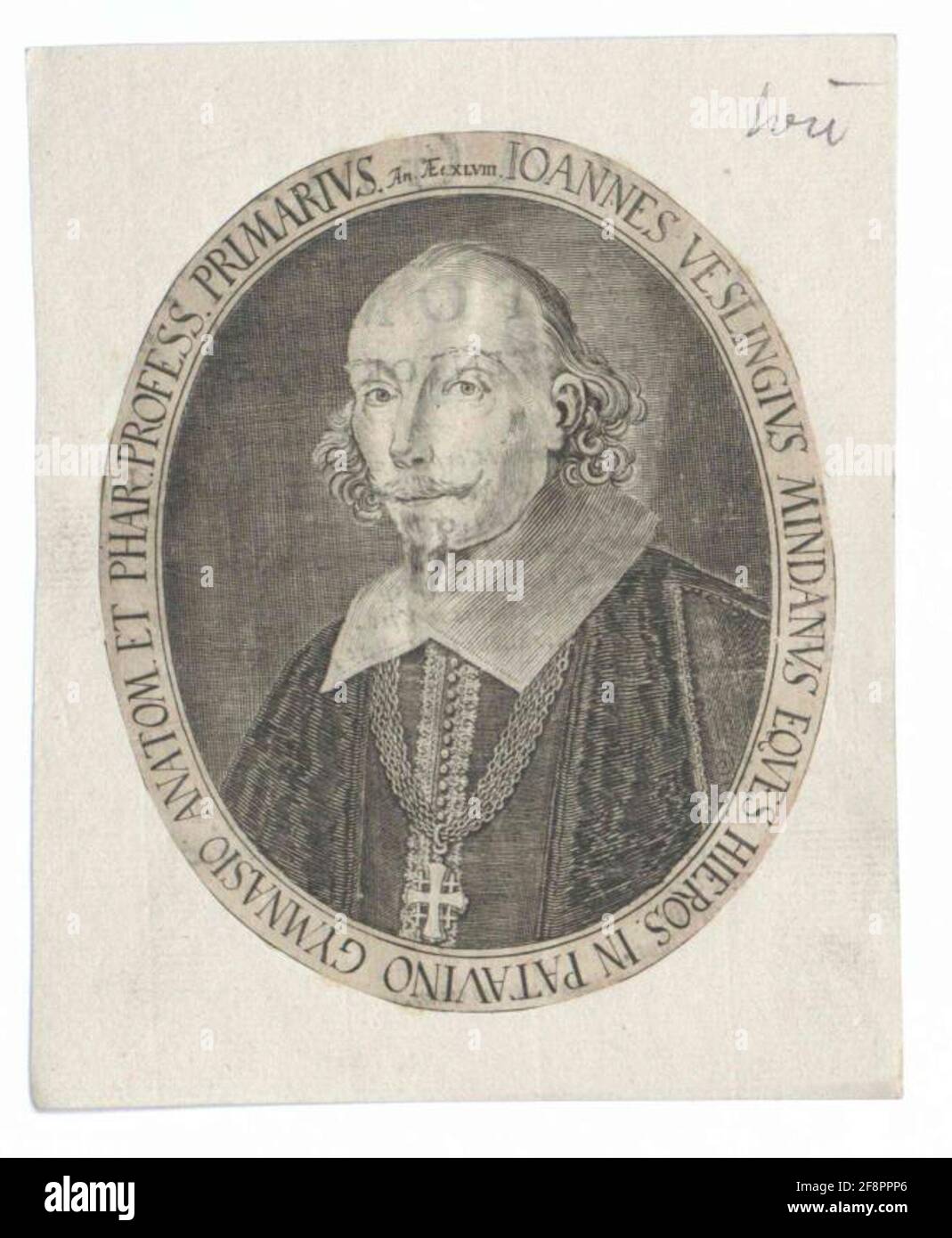 Johann vesling hires stock photography and images Alamy