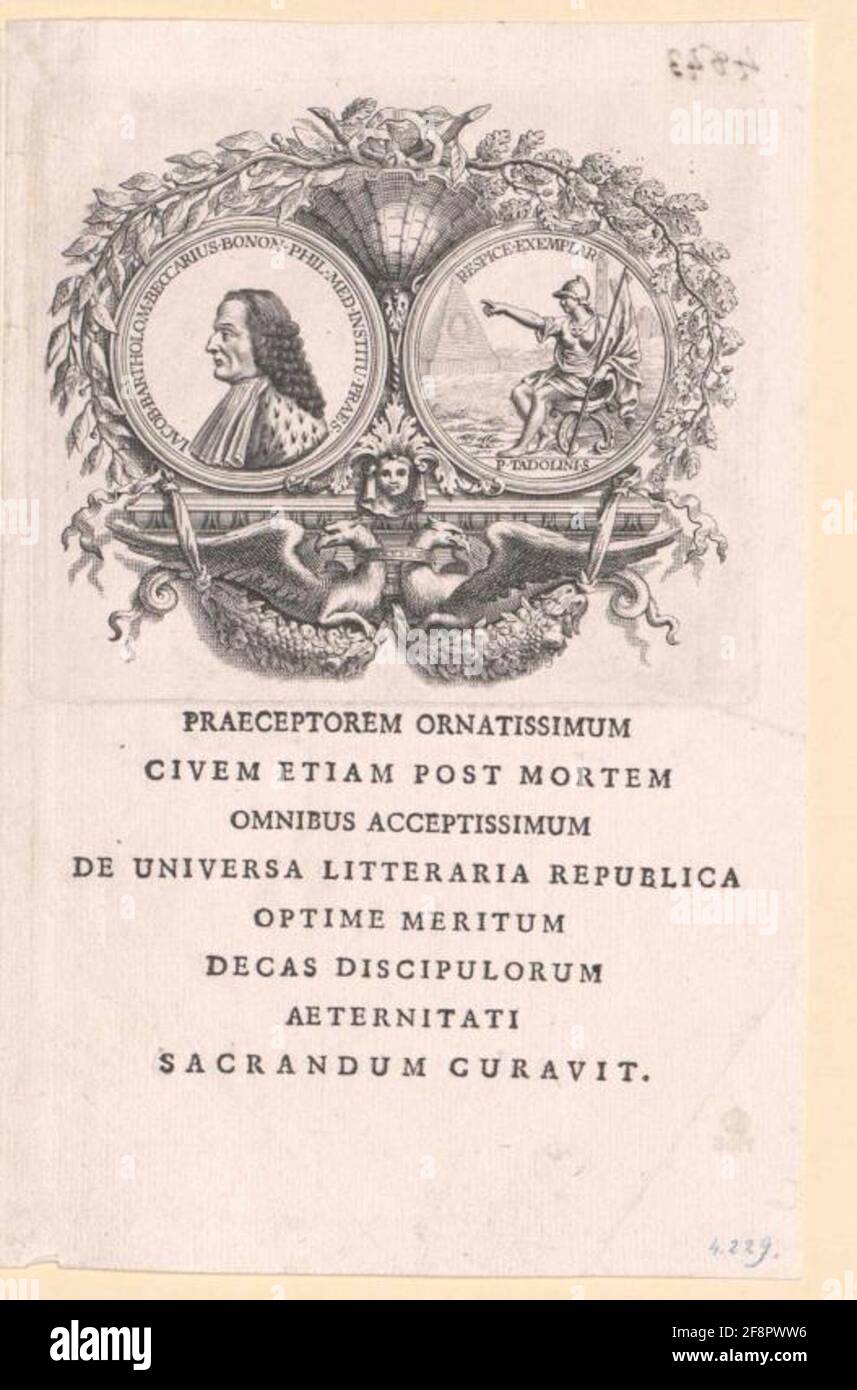 Beccari, Bartolomeo Stock Photo Alamy