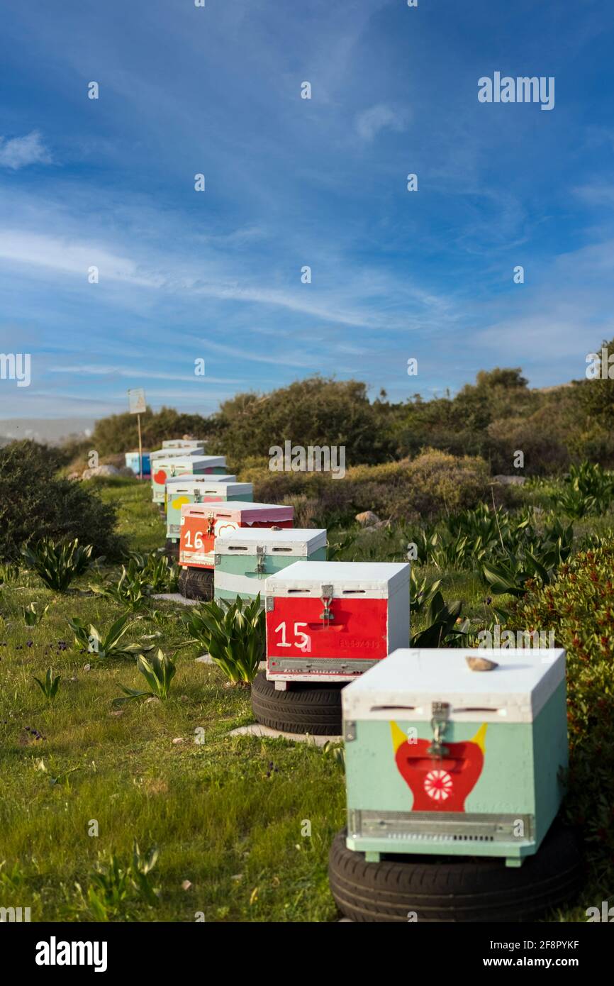 Row of brightly painted traditional Beehives sitting in the mediterranean sunshine. Stock Photo