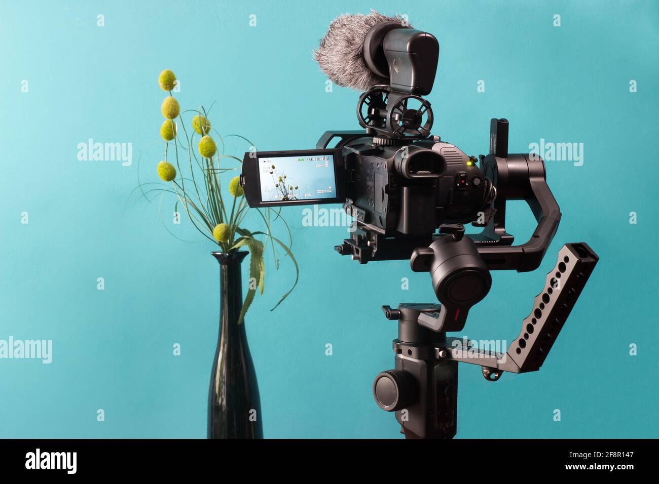 The camera on the gimbal shoots flowers in a vase. Turquoise background. Stock Photo