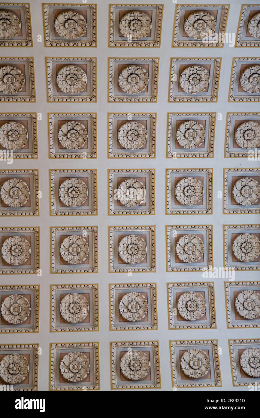 Abstract Ornate Ceiling Roses Vienna, Austria Stock Photo