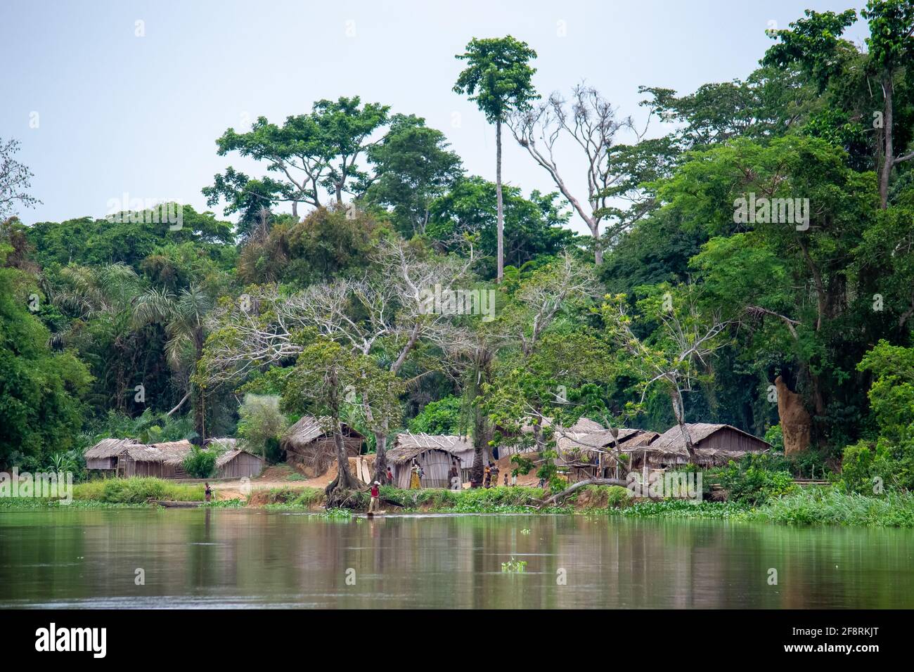 Congo Rainforest And Basin High Resolution Stock Photography and Images