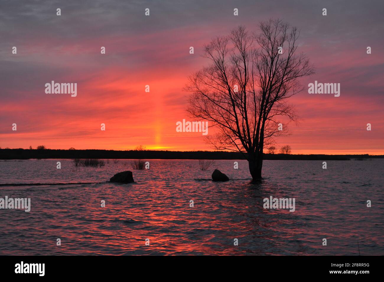 Panorama of the lake at a beautiful red sunset with a reflection in calm water with a wooden silhouette. Sunset red landscaape Stock Photo