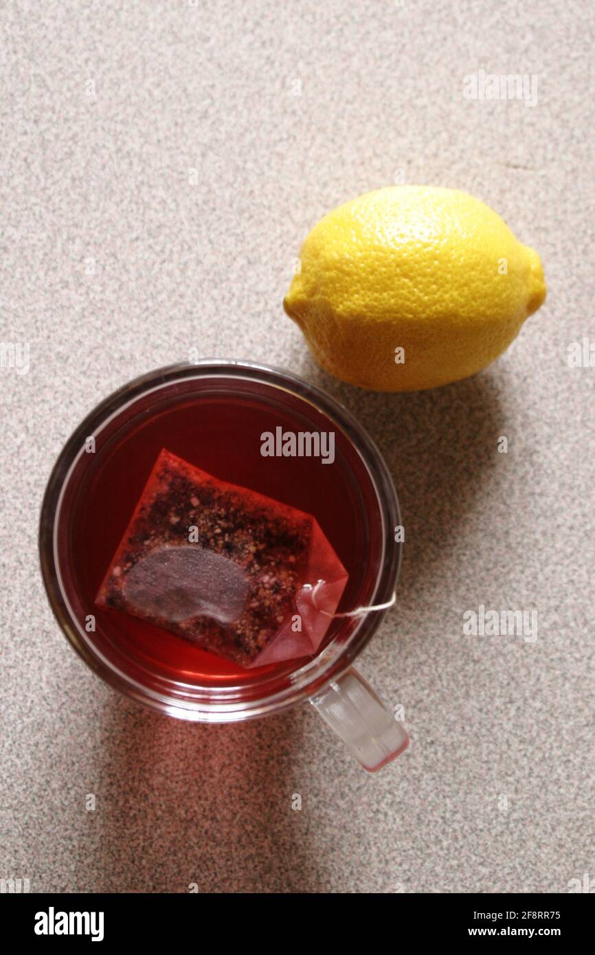 lemon (Citrus limon), tea glass with tea bag and lemon, Ã–sterreich Stock Photo