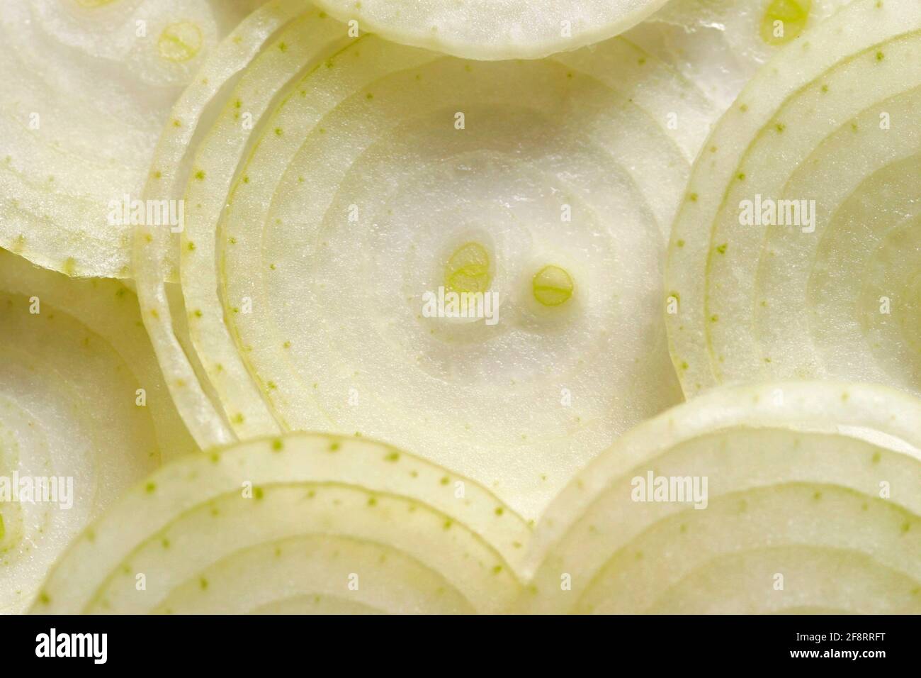 Close up view sliced onions hi-res stock photography and images - Alamy