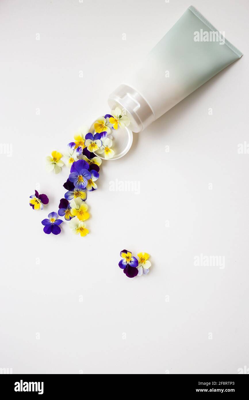 against white background, tube of cream or paint, from which pansy flowers are squeezed out. concept of naturalness. Ingredients for beauty industry. Stock Photo