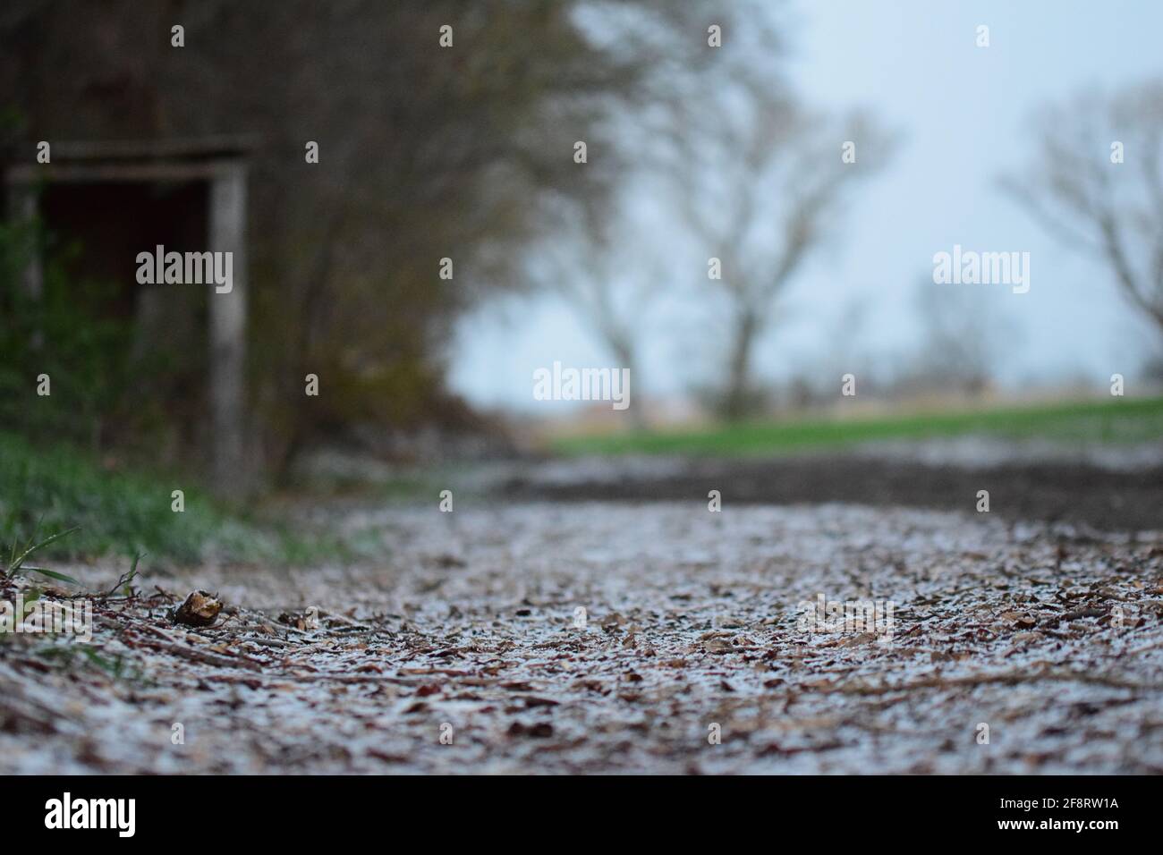 Snowy path with wood chips against a blurred landscape as background Stock Photo